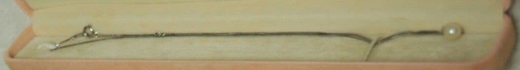 Pt850 ネックレス