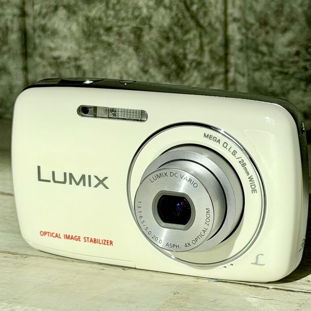 Panasonic「LUMIX S」DMC-S1