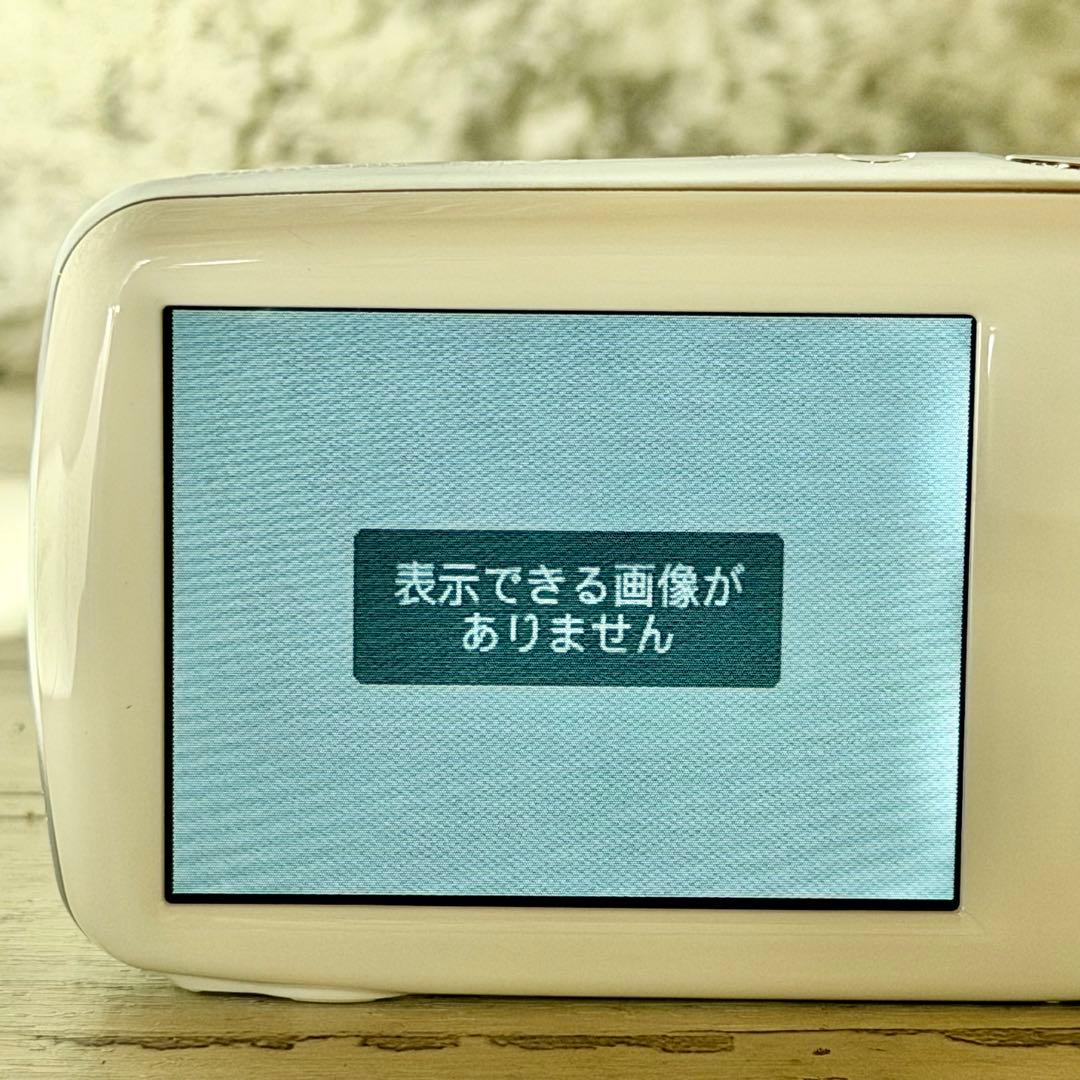 Panasonic「LUMIX S」DMC-S1