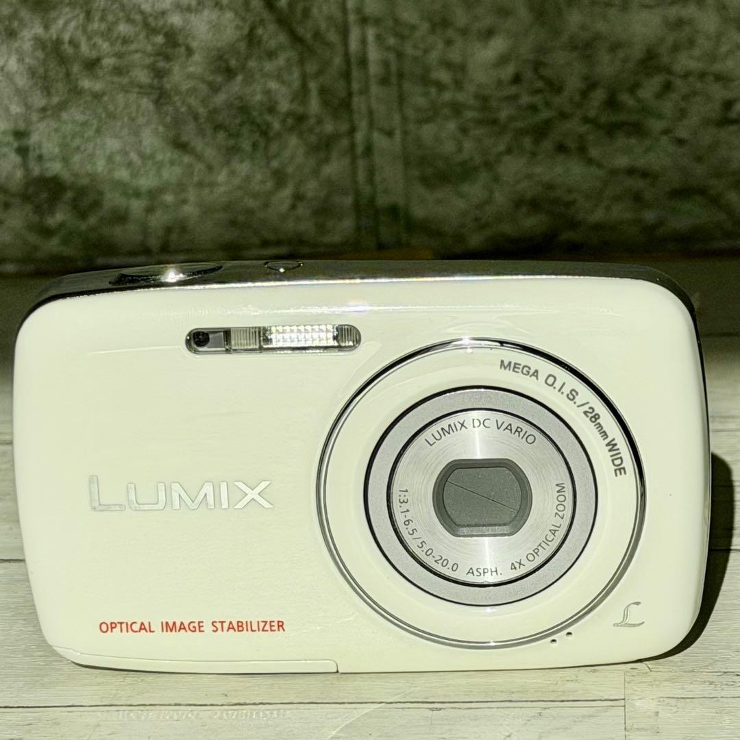 Panasonic「LUMIX S」DMC-S1