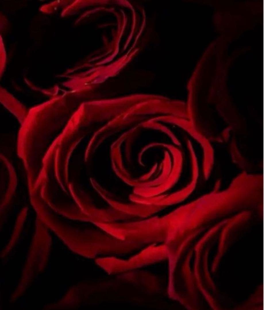 COACH長財布レインボーマルチカラーシグネチャーメンズレディース.ストラップ付