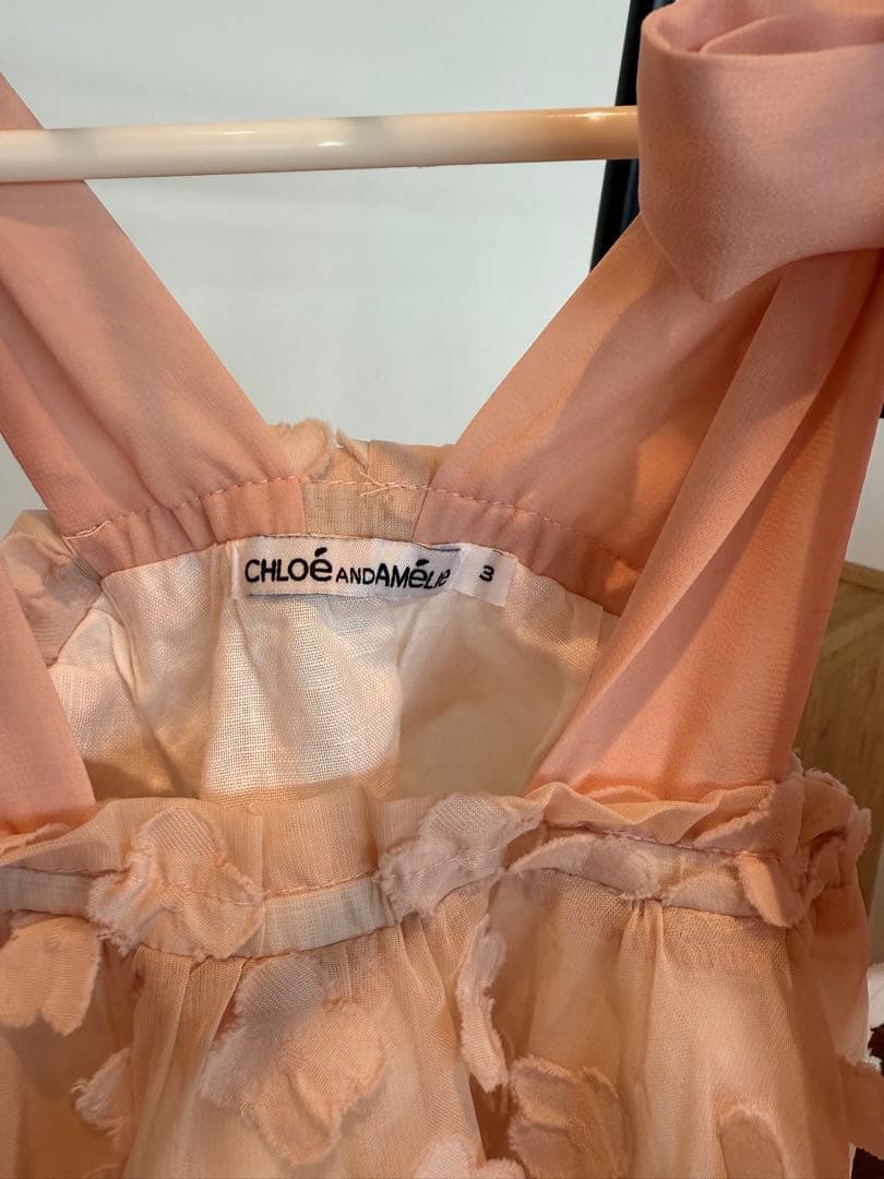 chloe and amelie ＊ in the meadows dress