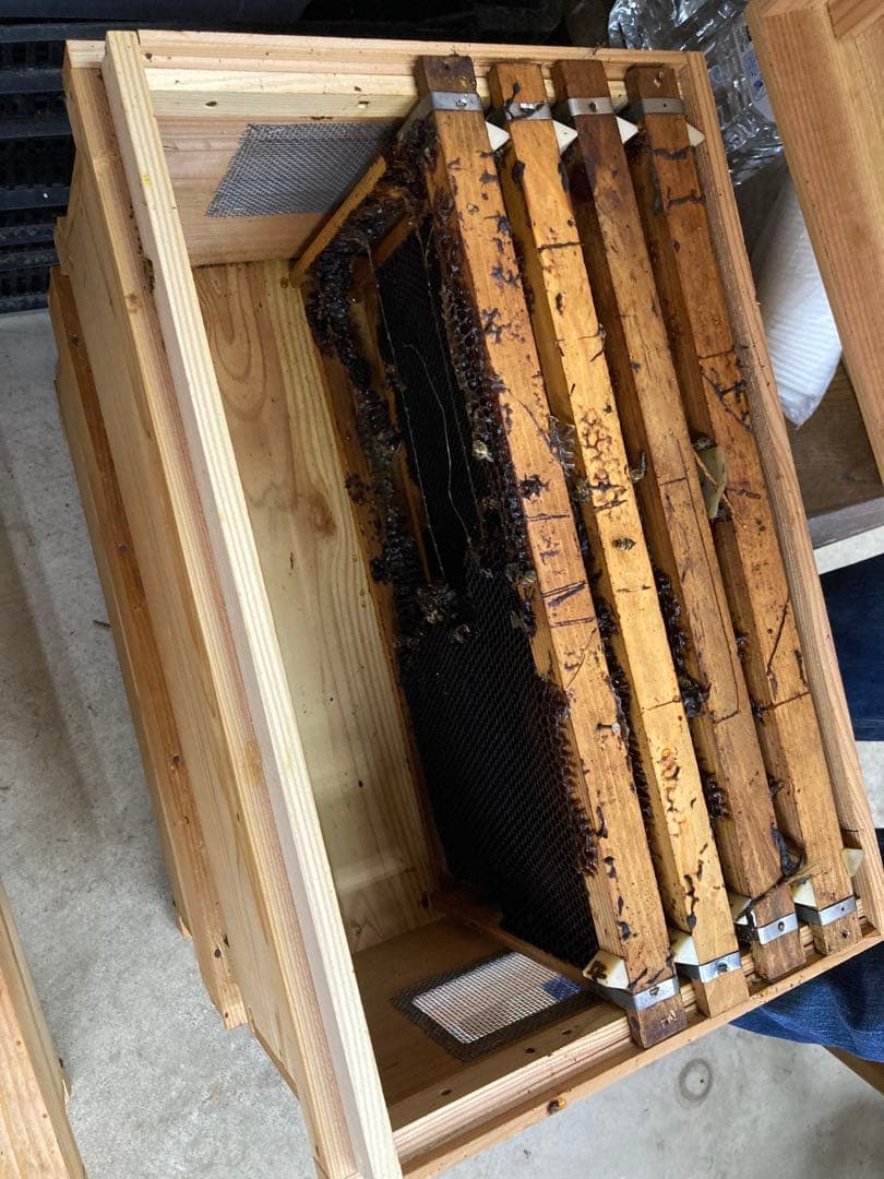 蜂の巣箱　中古　3箱まとめて
