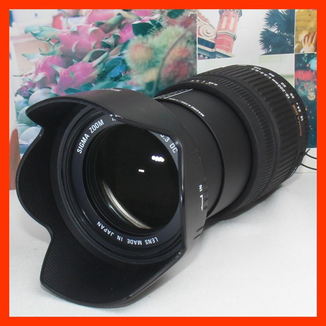 ❤️１本で大満足❤️PENTAX用 シグマ 18-200mm DC ❤️