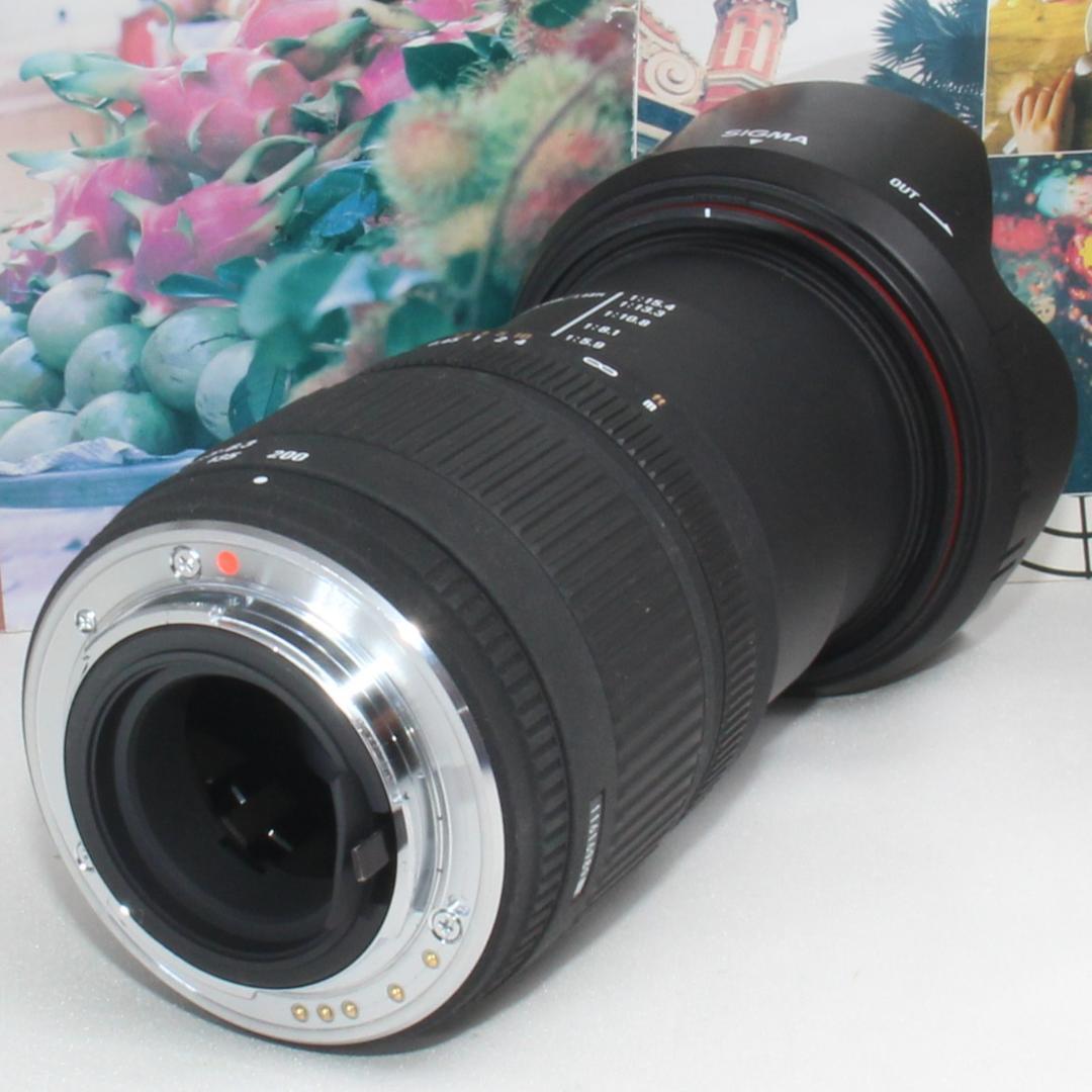 ❤️１本で大満足❤️PENTAX用 シグマ 18-200mm DC ❤️