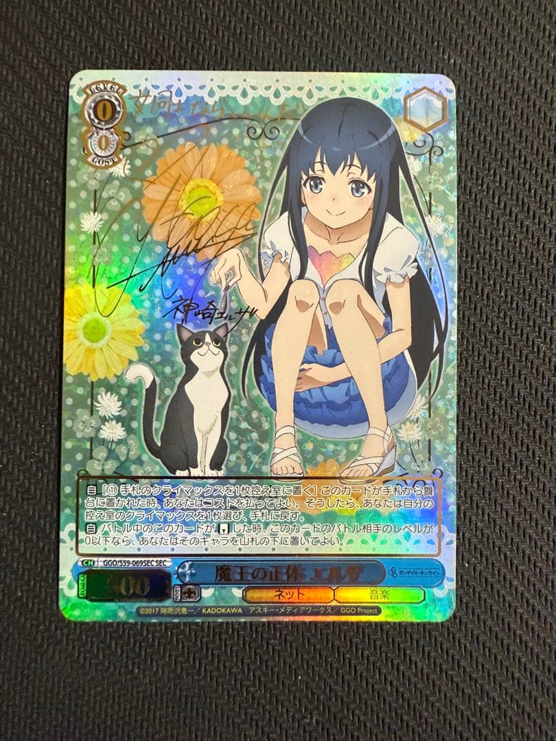 魔王の正体　エルザ　sec ggo ガンゲイルオンライン　SAO