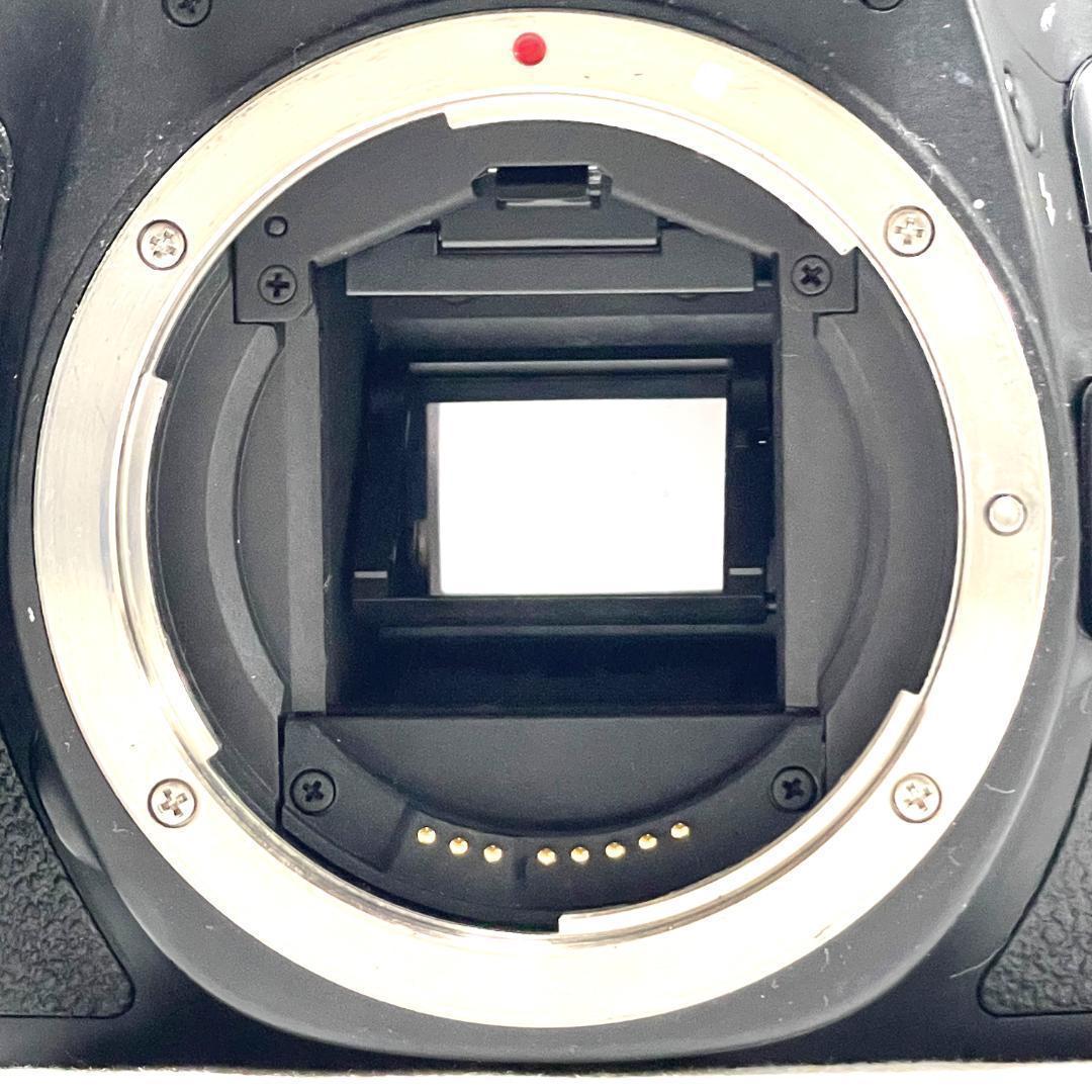 高画質で撮る楽しさ満点⭐️ Canon EOS 60D 標準レンズセット