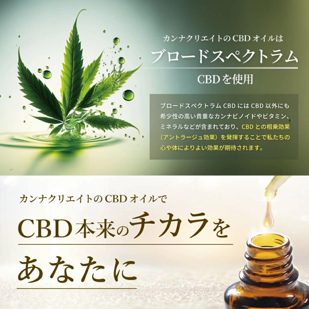 CBD オイル 高濃度 50% 大容量 10g CBD5000mg