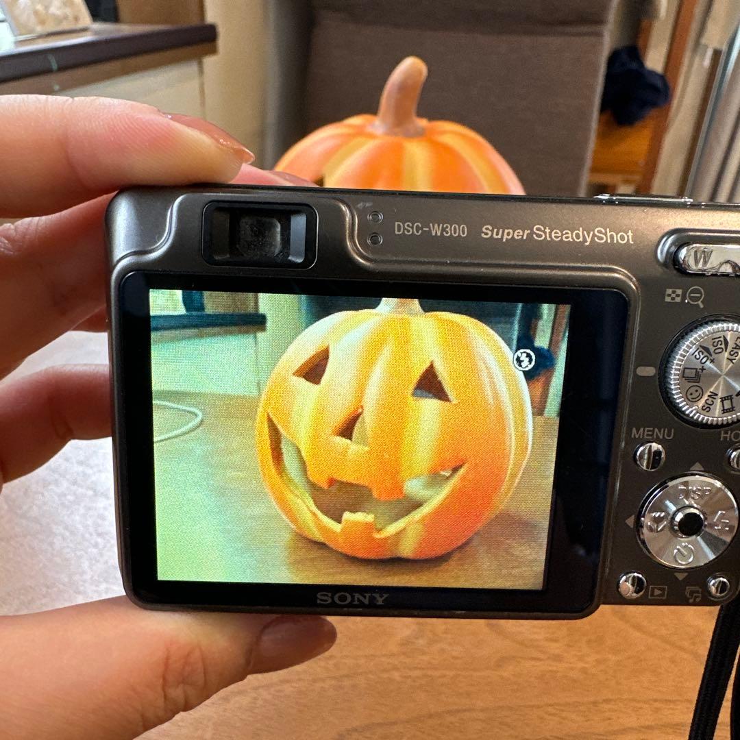 動作確認済み SONYデジカメCyber-shot DSC-W300