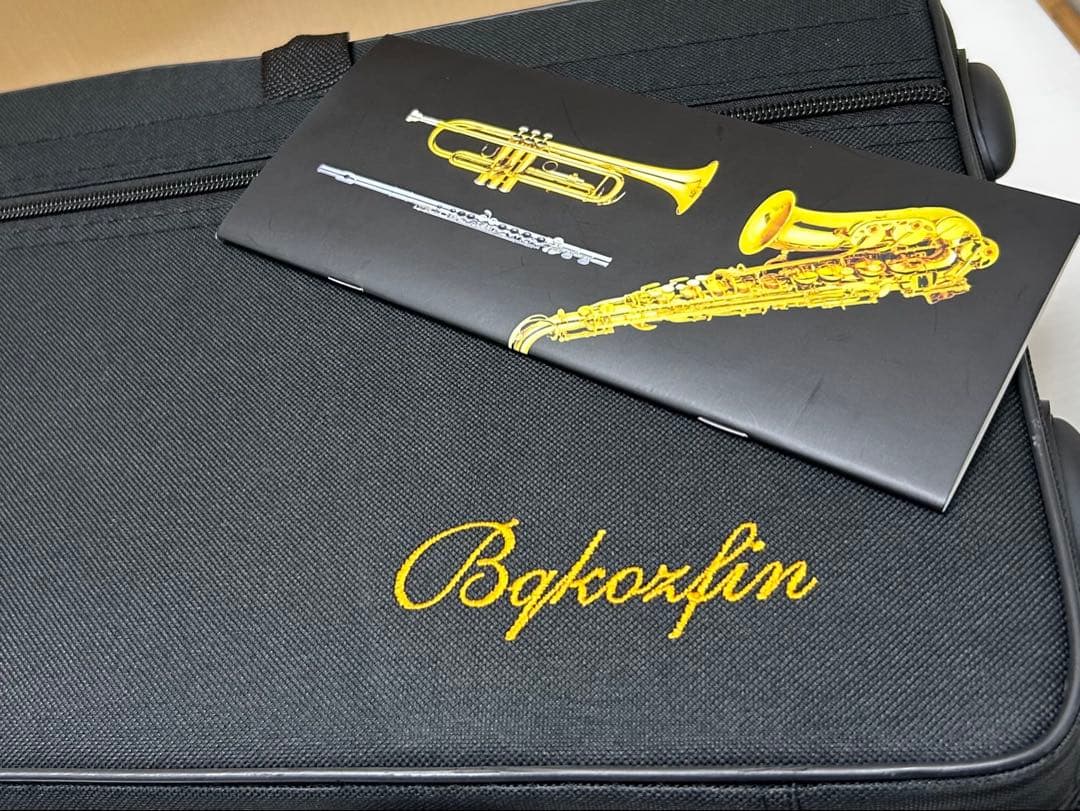 アルトサックス 初心者 入門用　中古品/美品