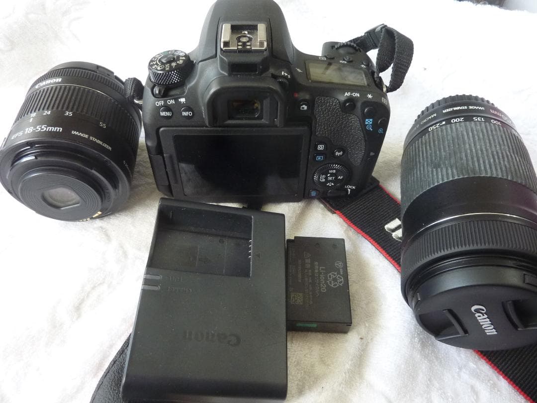 中古　CANON　EOS9000D 　　rivin