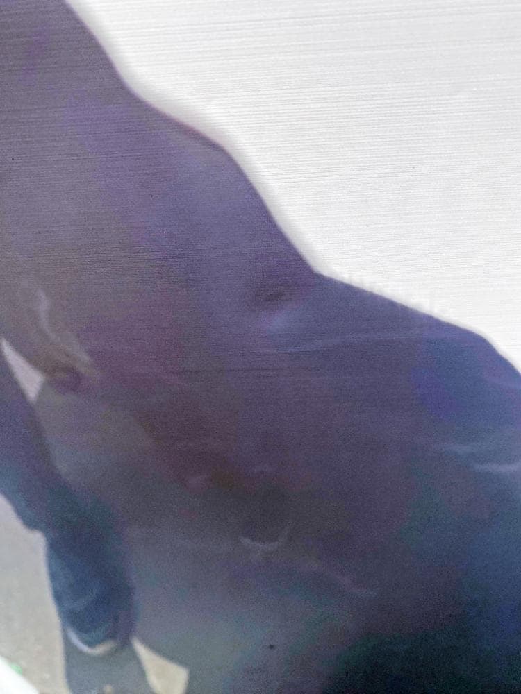 30日迄！SHARP 137L 2ドア冷蔵庫【SJ-PD14B-C】