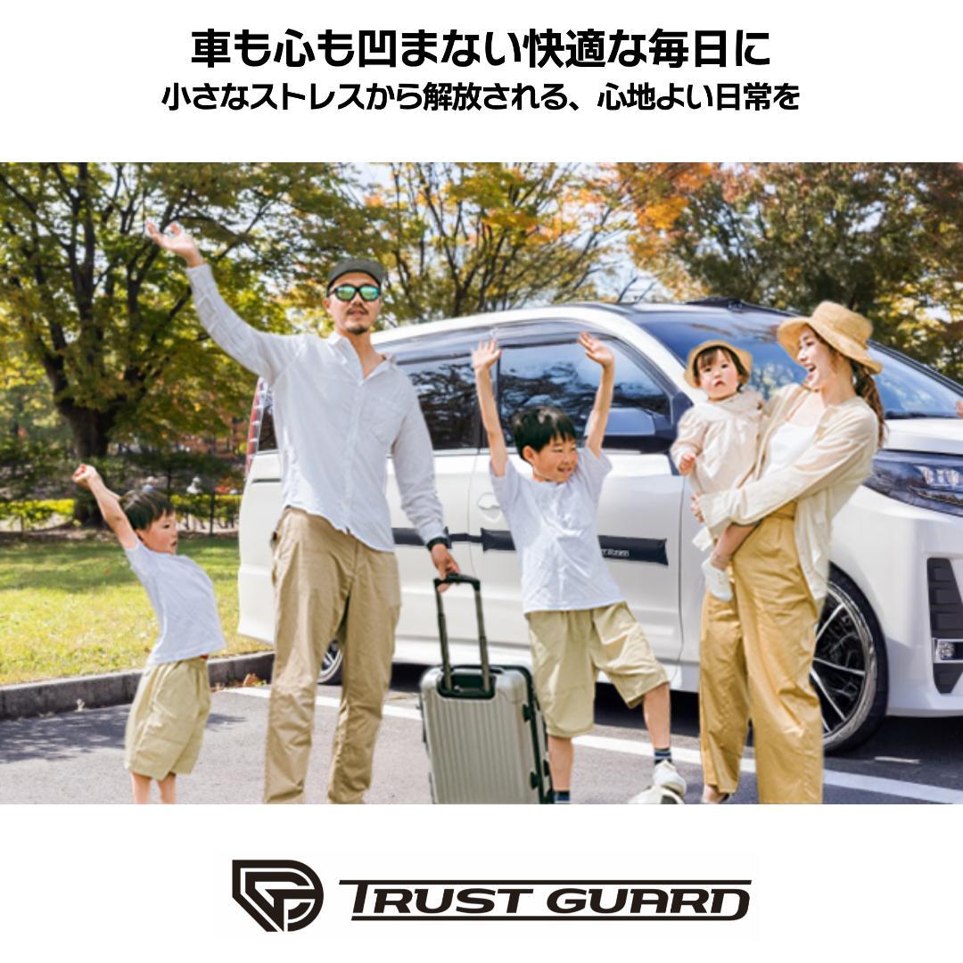 車のドア傷防止＆へこみ対策ドアパンチガード マグネット式 プロテクタ 左右セット