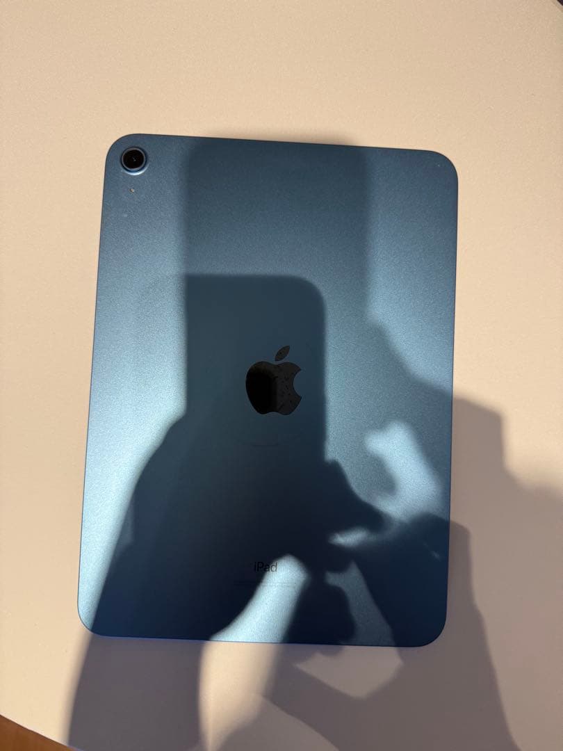 【バッテリー状態100%美品】 第10世代 ブルー 64GB WiFiモデル