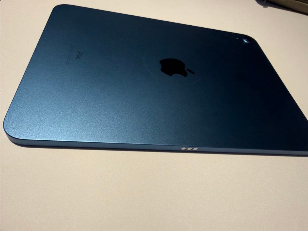 【バッテリー状態100%美品】 第10世代 ブルー 64GB WiFiモデル