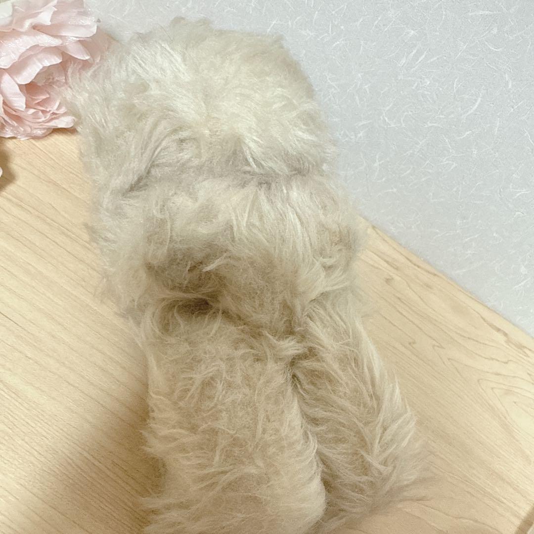 アンティーク ヴィンテージ DDRベア ベルリンベア ぬいぐるみ 東ドイツ