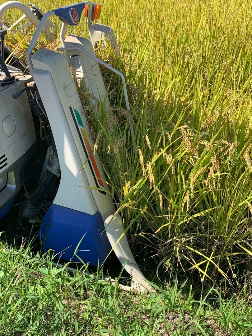 令和7年度産　ヒノヒカリ20kg(玄米) 減農薬　農家のお米