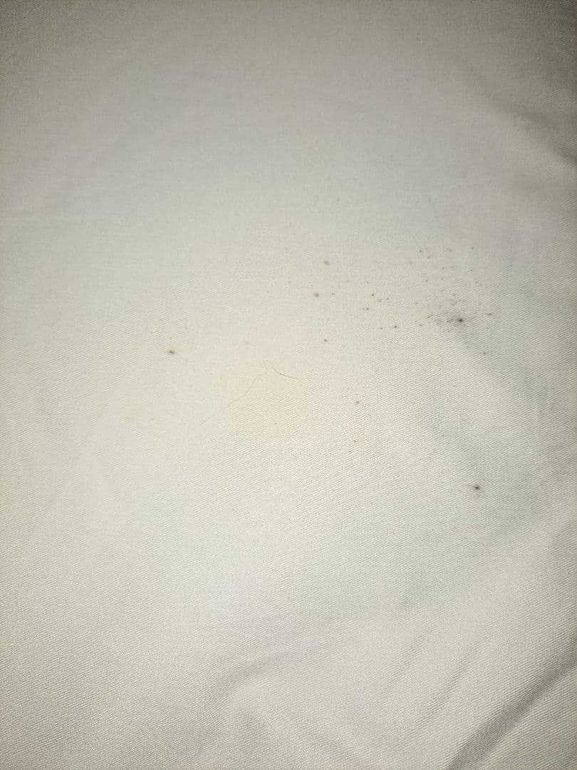 【KAZ】そいねーる3　ベッドフレーム(マットレス付)