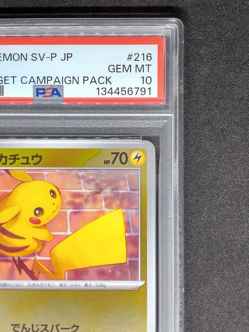 【PSA10】ピカチュウ プロモ ポケカの夏がキタ キラ ホロ Gem Mint