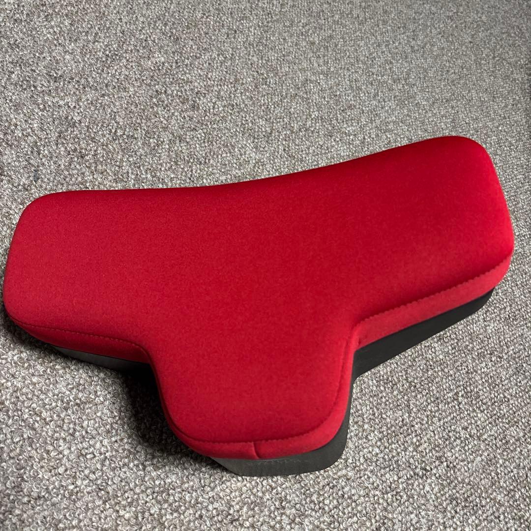 LPN スイングストレッチ　ストレッチポール