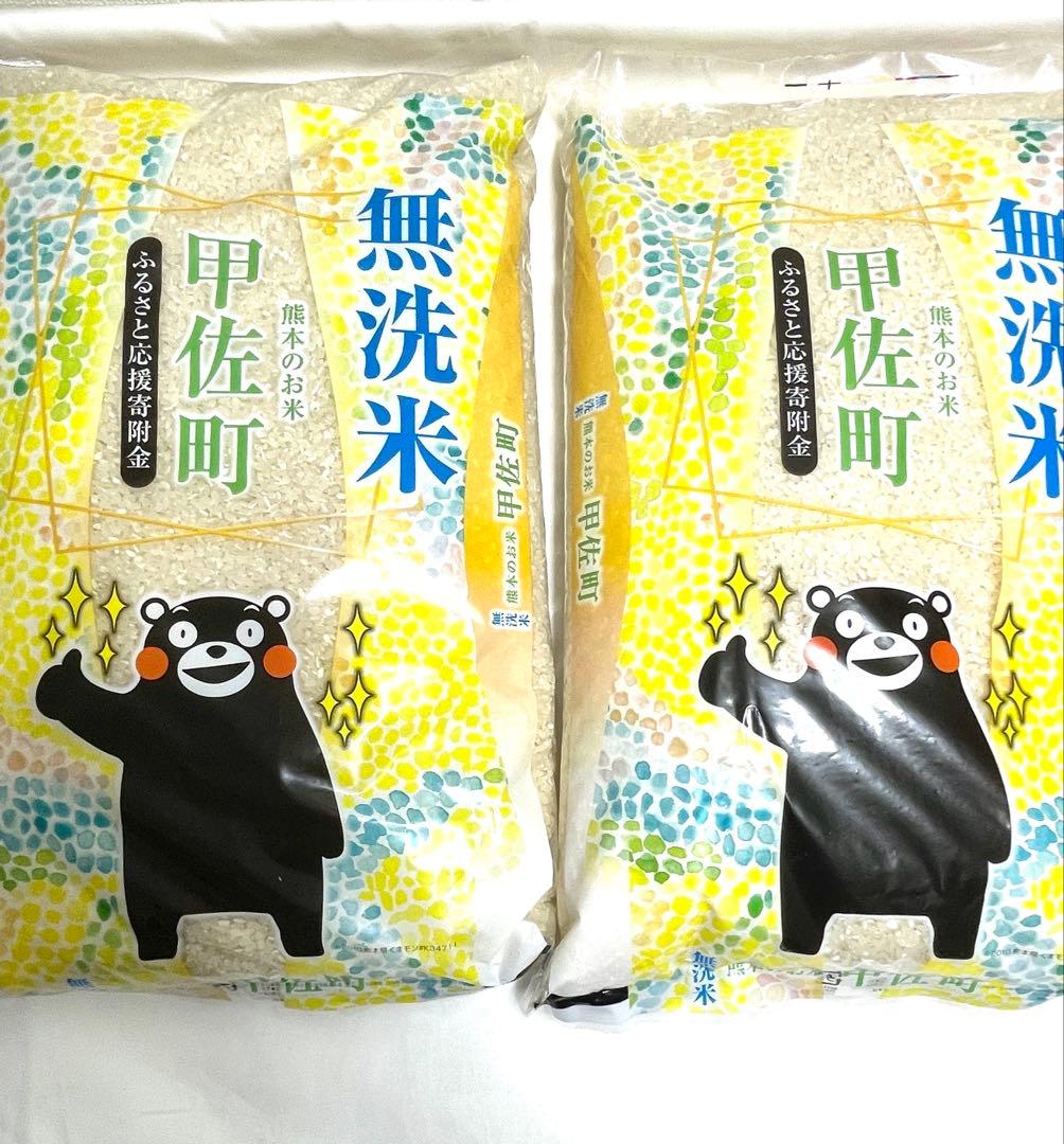 甲佐町 令和7年産『甲佐の輝き』無洗米10kg ふるさと納税返礼品　白米　ご飯
