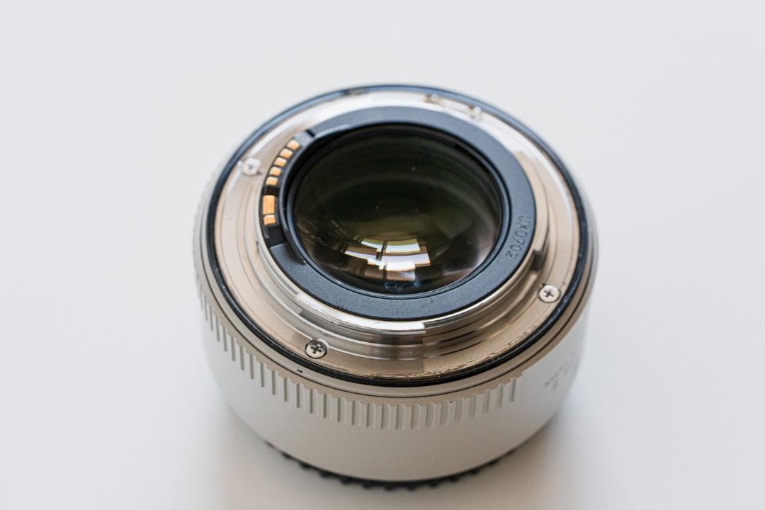 Canon EF70-200mm F2.8L IS USM＋1.4x ※難あり