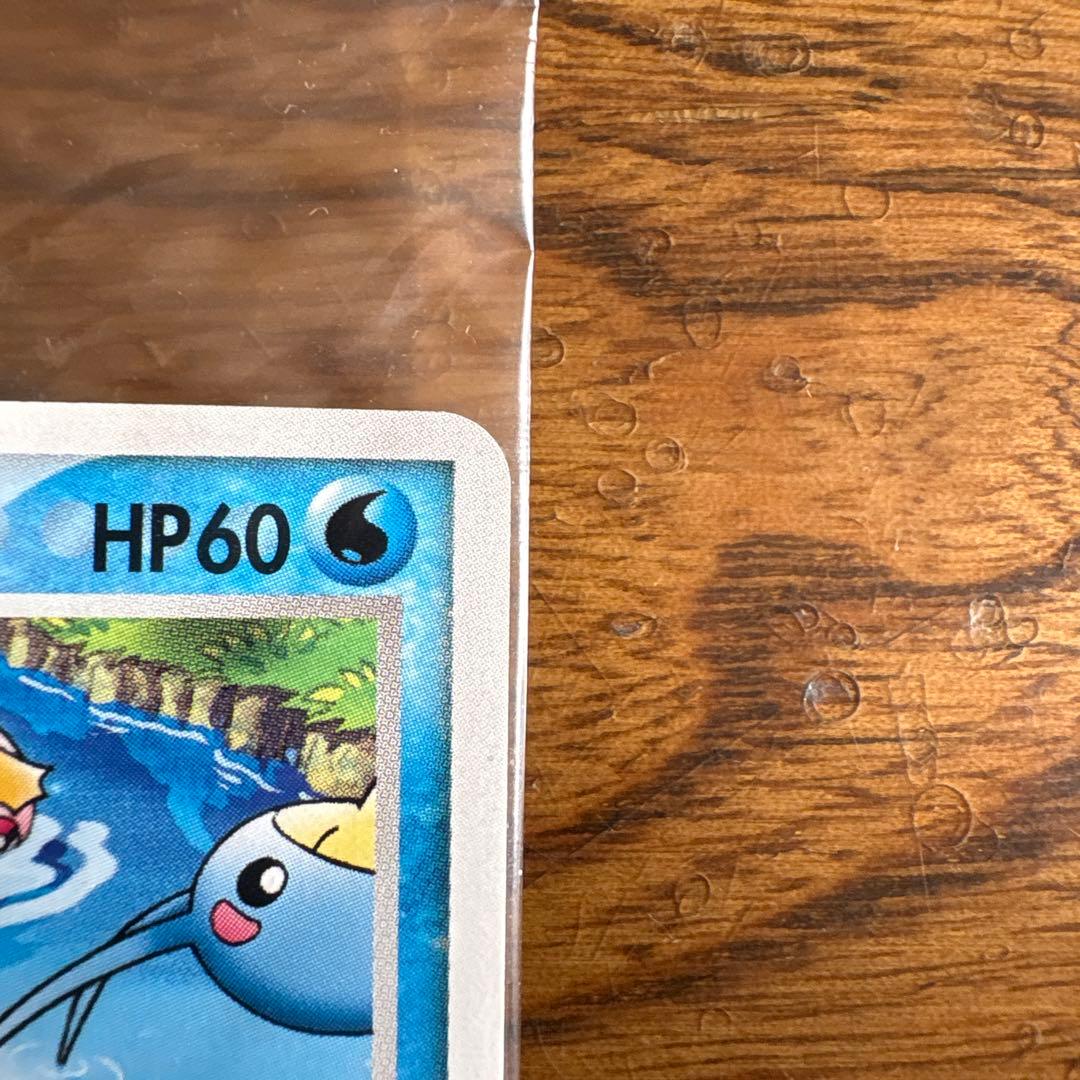 ポケパークのミズゴロウ