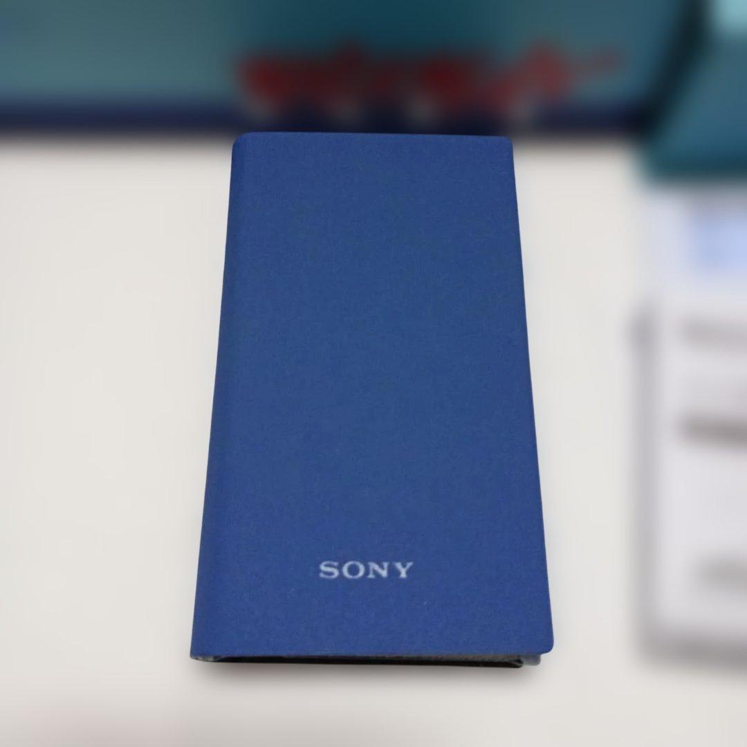 【超美品】SONY ウォークマン Aシリーズ NW-A100TPS　40周年中古