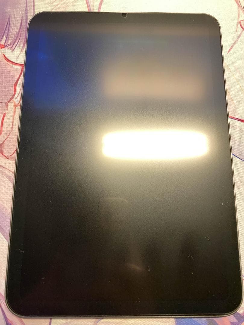 iPad mini6 256GB Wi-Fiモデル