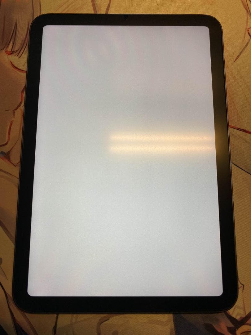 iPad mini6 256GB Wi-Fiモデル