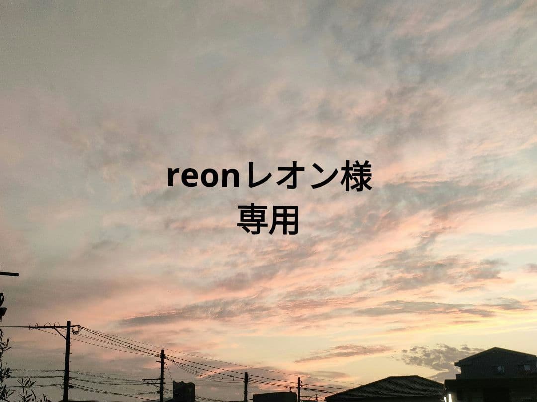 reonレオン様　ホコモモラ デ シビラ リサ 長財布 　ラウンドファスナー