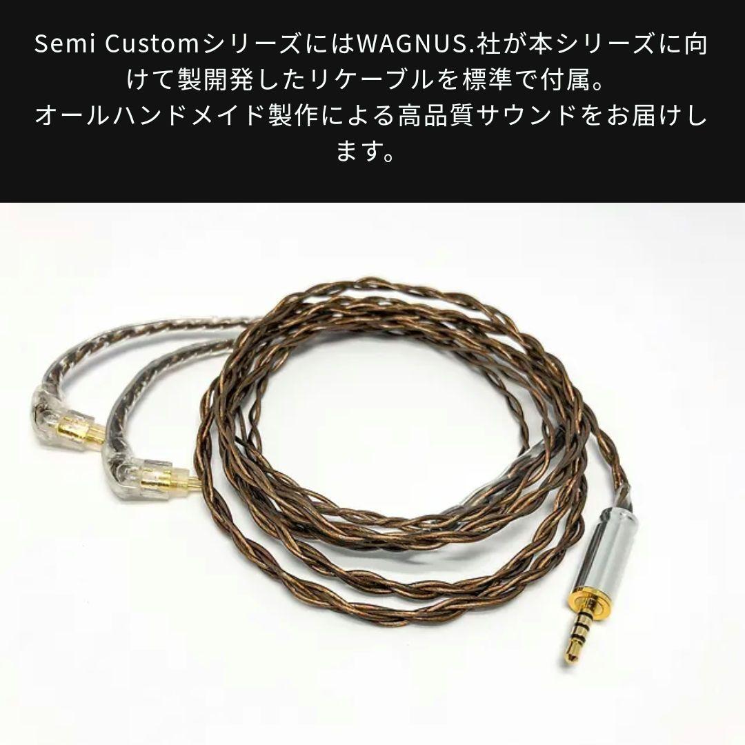 イヤホン Semi Custom 2BA model VINCENT NOBLE