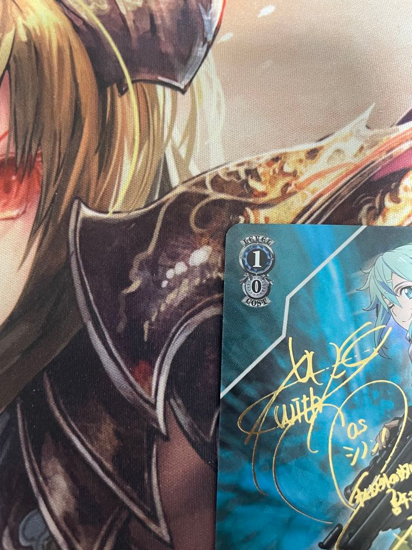 ヴァイスシュヴルツ GGO最強のスナイパー シノン