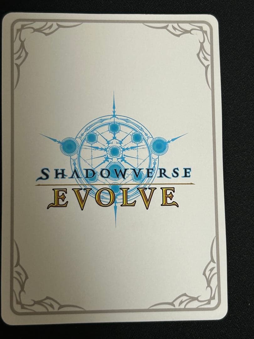 万華の鳳凰・ほーちゃん リーダー LD