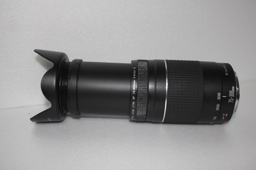 望遠レンズ/デジタル一眼レフカメラ/Canon EF 75-300㎜ III