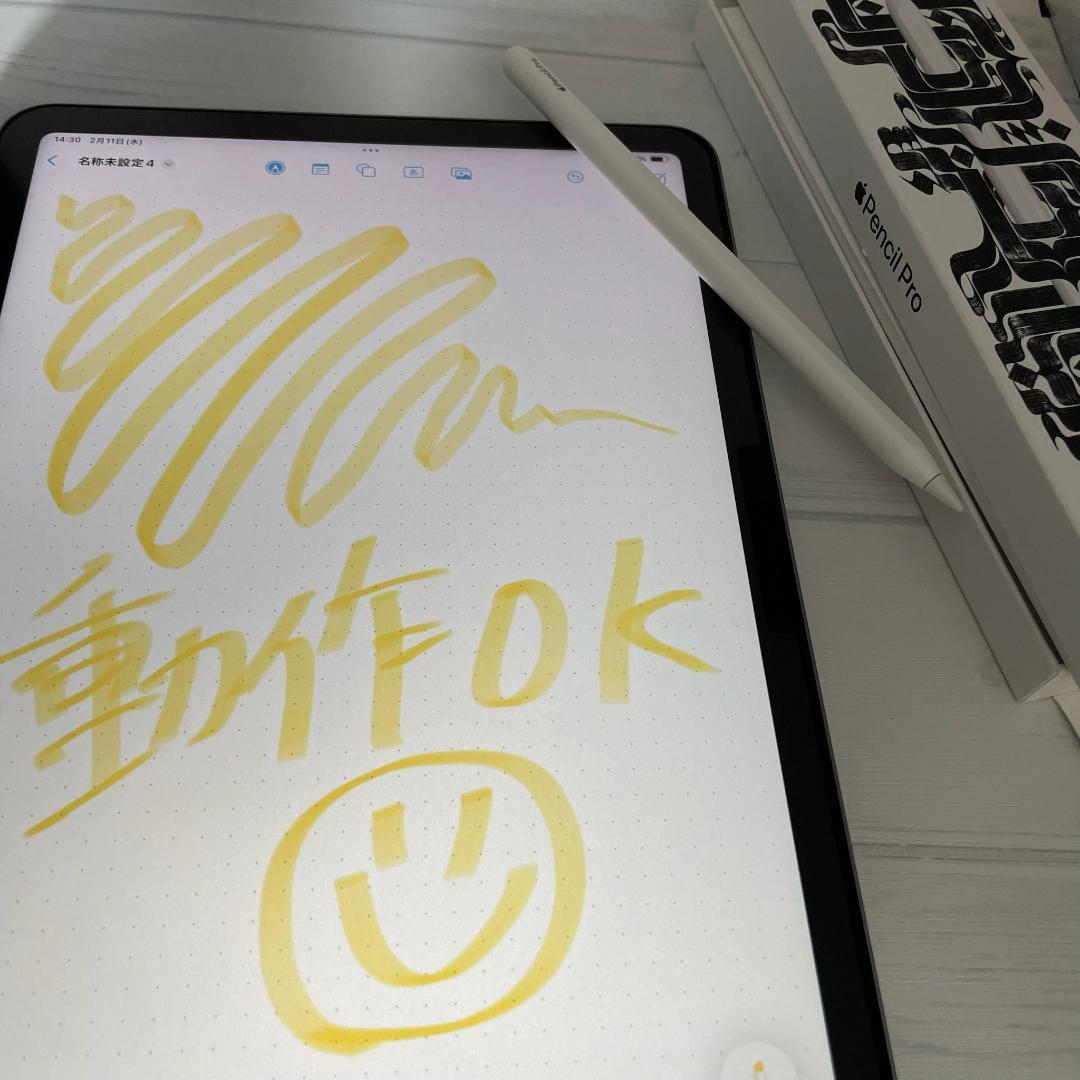 動作確認済み【純正品】Apple Pencil Pro 替え芯セット