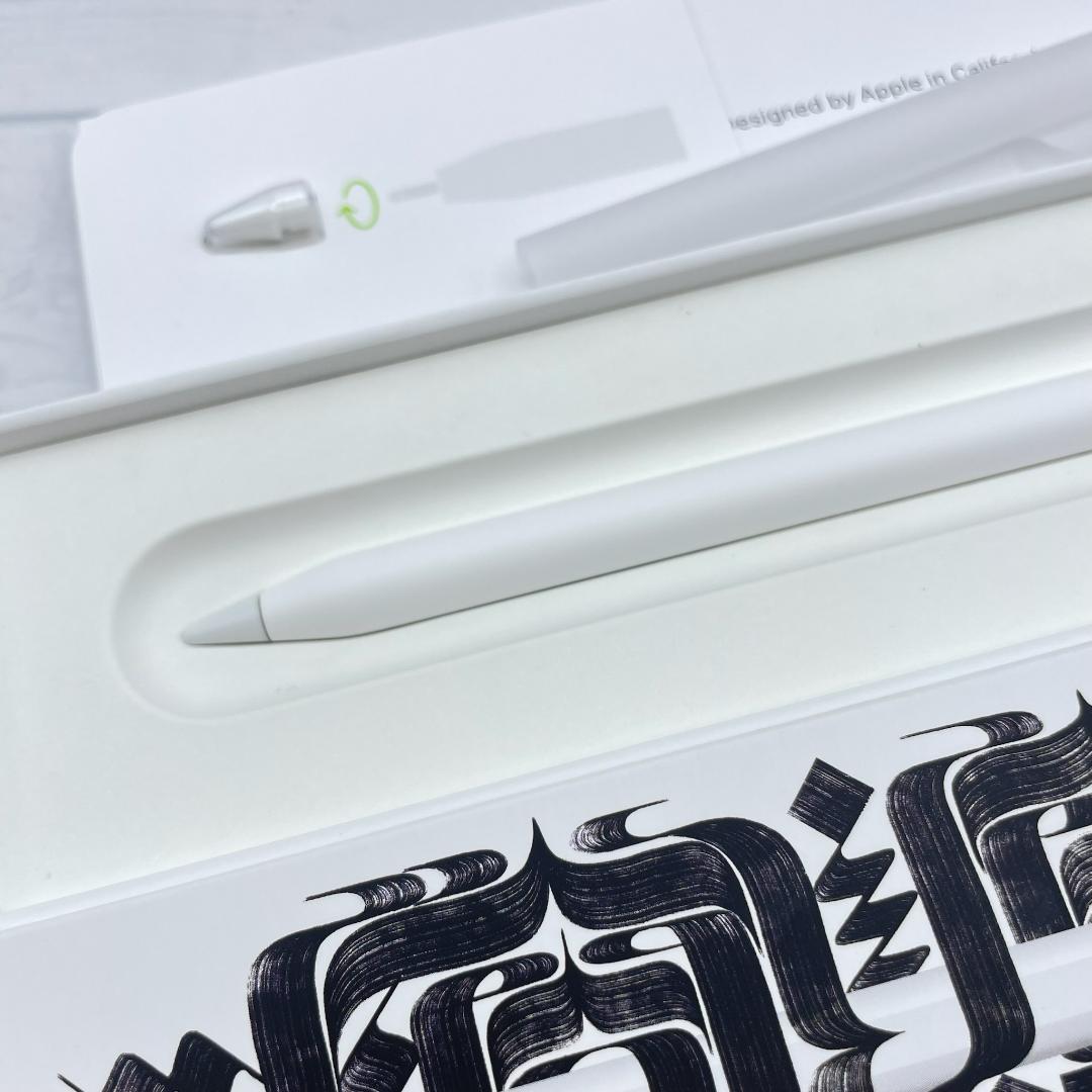 動作確認済み【純正品】Apple Pencil Pro 替え芯セット