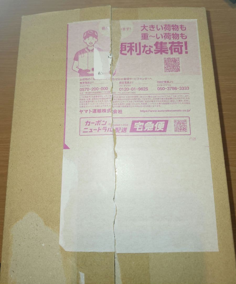 初版 ポケセン産 megaドリームex シュリンク付き 納品書付き