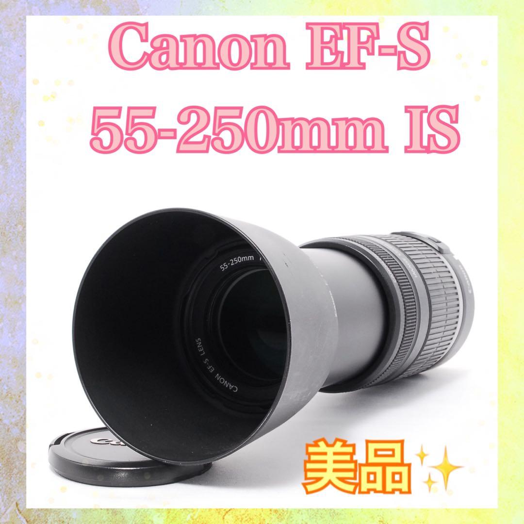 ◆手ぶれ補正◆Canon EF-S 55-250mm IS◆野鳥撮影や野球観戦に