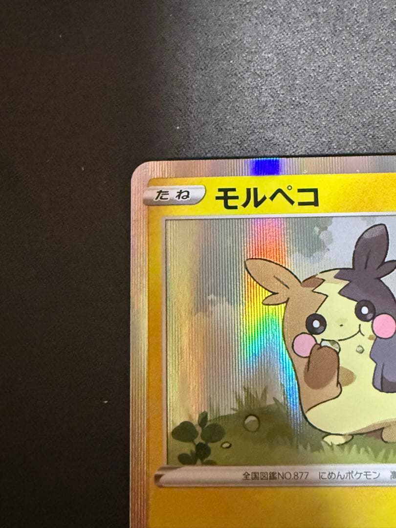 モルペコ 2020チャンピオンシッププロモ フレンドリィショッププロモ セット