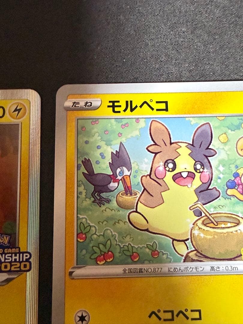 モルペコ 2020チャンピオンシッププロモ フレンドリィショッププロモ セット