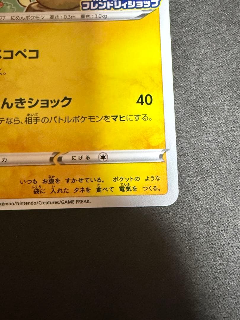 モルペコ 2020チャンピオンシッププロモ フレンドリィショッププロモ セット