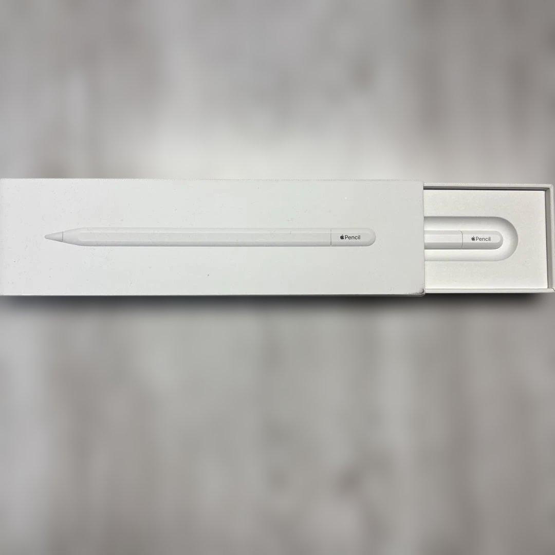 iPadアクセサリー Apple Pencil (usb-c)