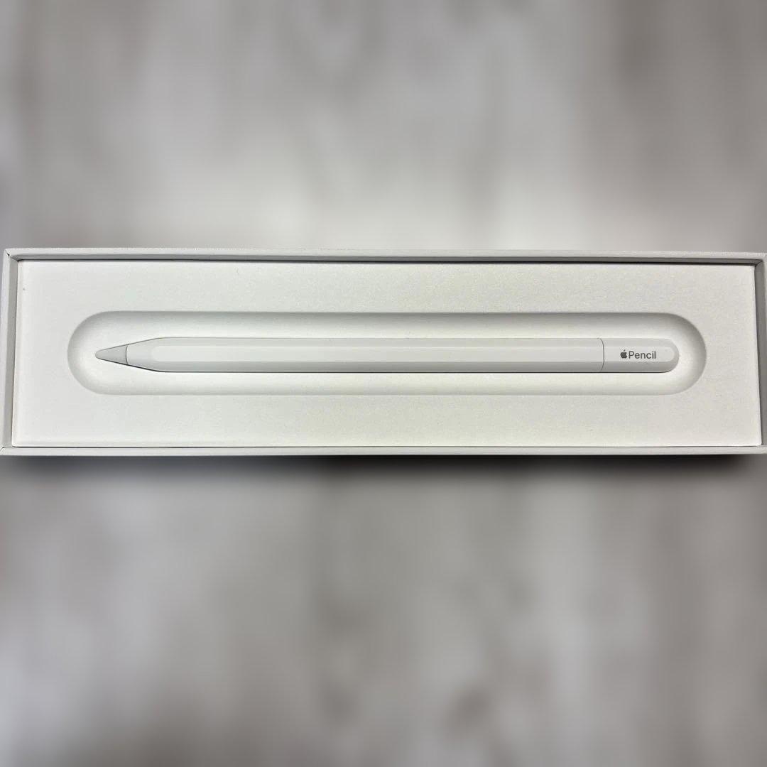 iPadアクセサリー Apple Pencil (usb-c)