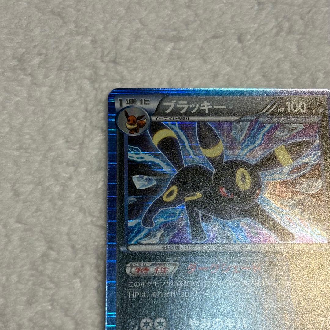 ブラッキー R BW8 プラズマ団 ライデンナックル