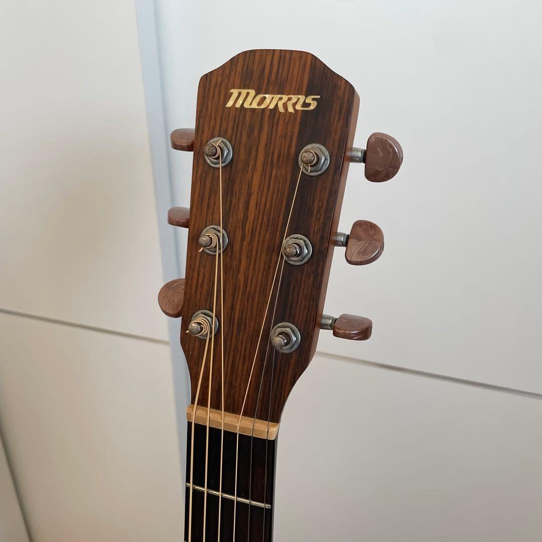 Morris S-40 アコギ カッタウェイ アコースティックギター