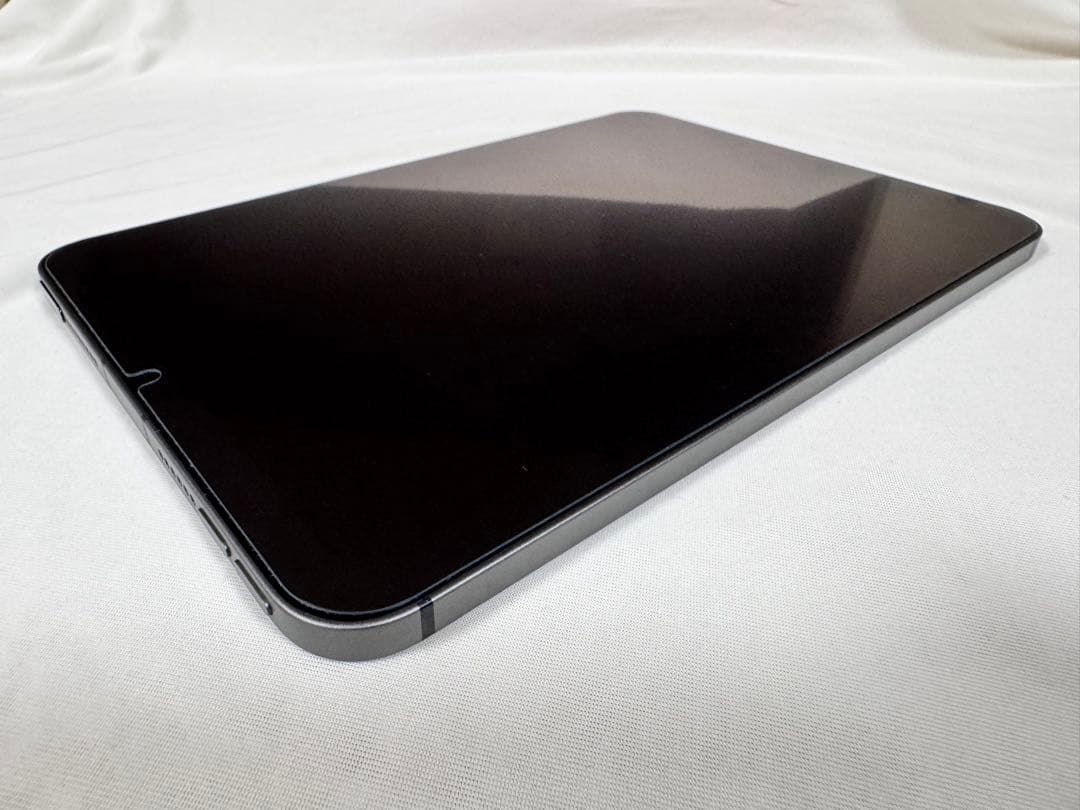 な*送様 iPad mini (第6世代) Cellular 256gb スペー