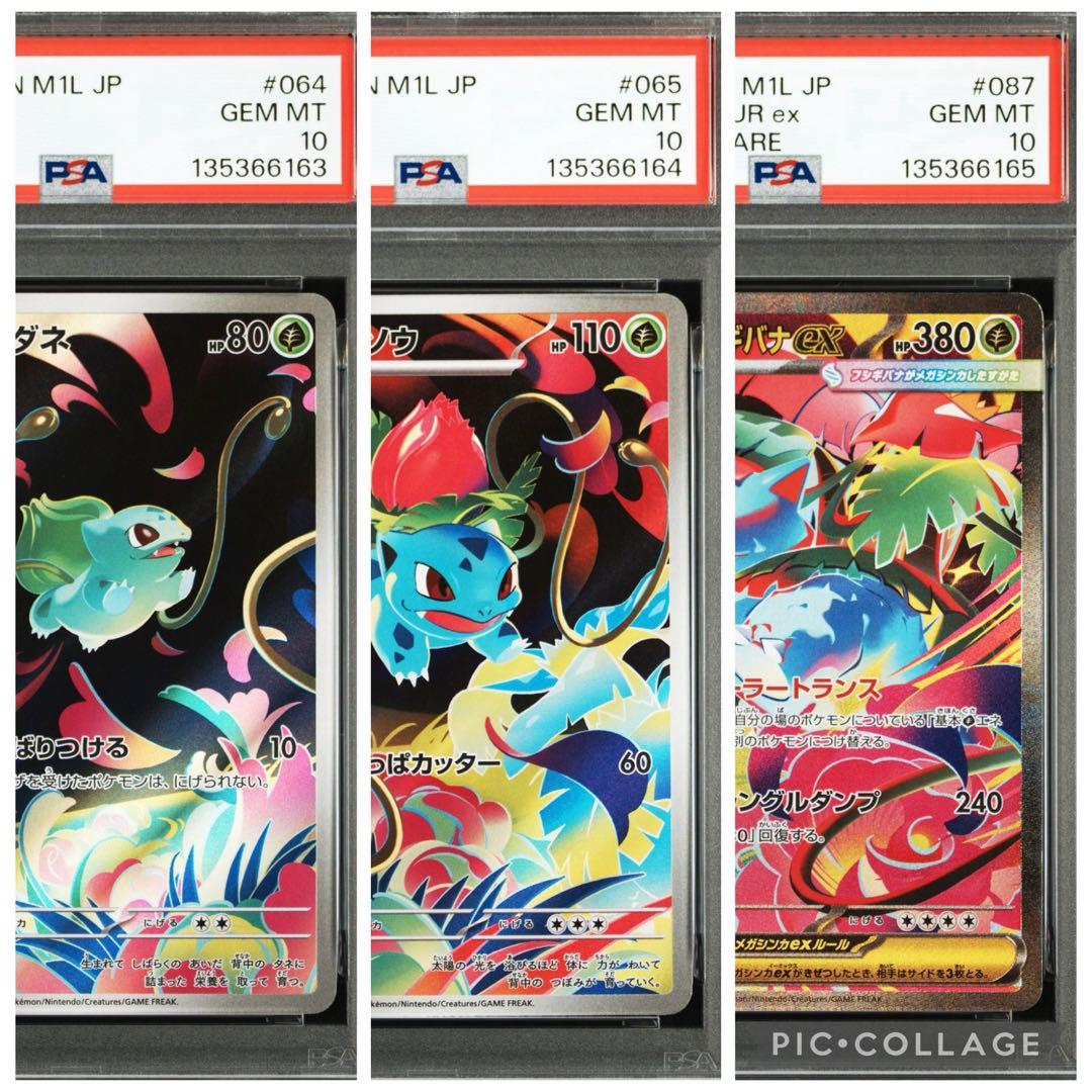 ポケモンカード　メガフシギバナex SAR PSA10 3連番