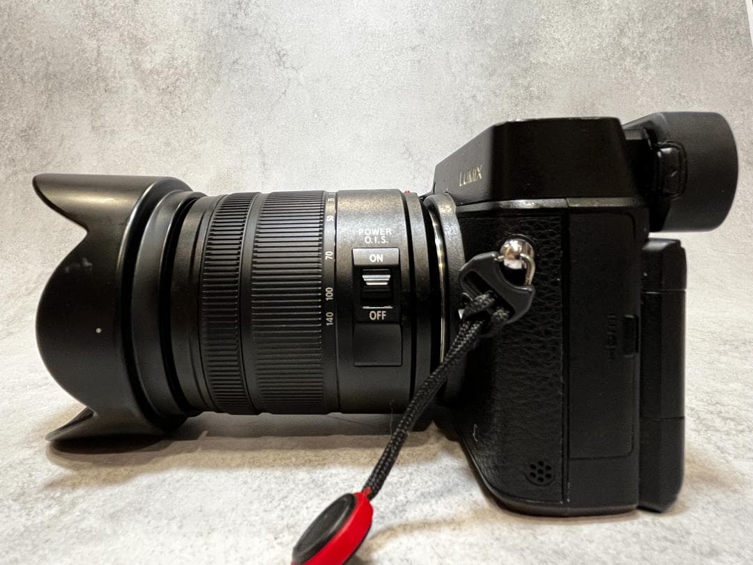 LUMIX GX8 レンズ2本セット