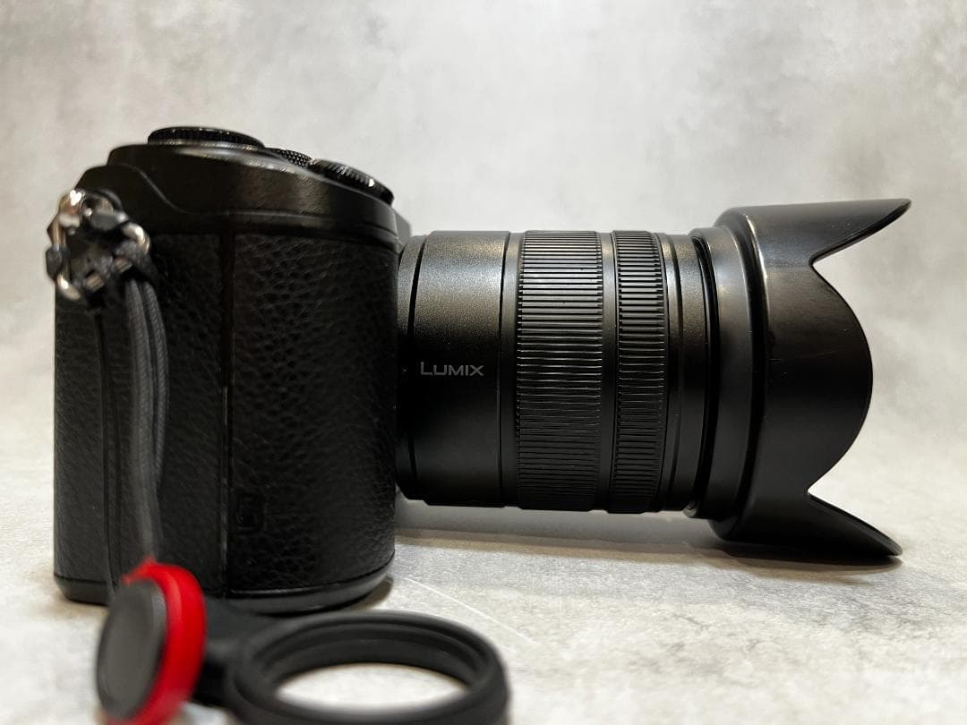 LUMIX GX8 レンズ2本セット